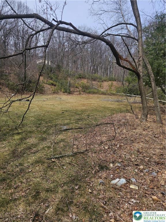 35 Brookeville Terrace, Unit LOT #121 Mount Pocono, PA 18344 - Photo 2 of 3 a view of backyard of house