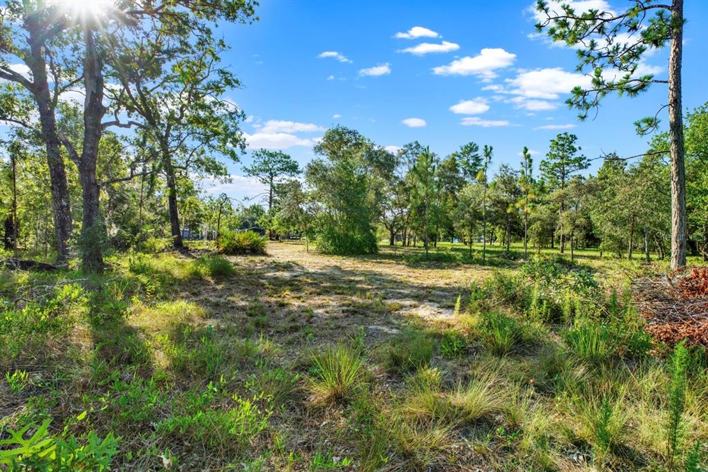 0 Condor Road Brooksville, FL 34614 - Photo 19 of 19
