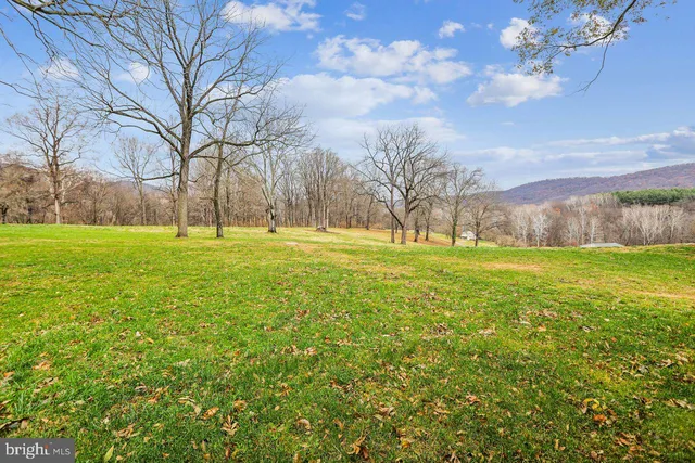 a view of a field with an trees