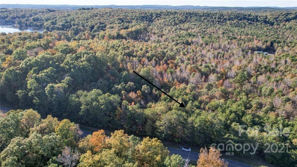 456 Shamrock Road New London, NC 28127 - Photo 3 of 10 a view of a bunch of flowers and trees