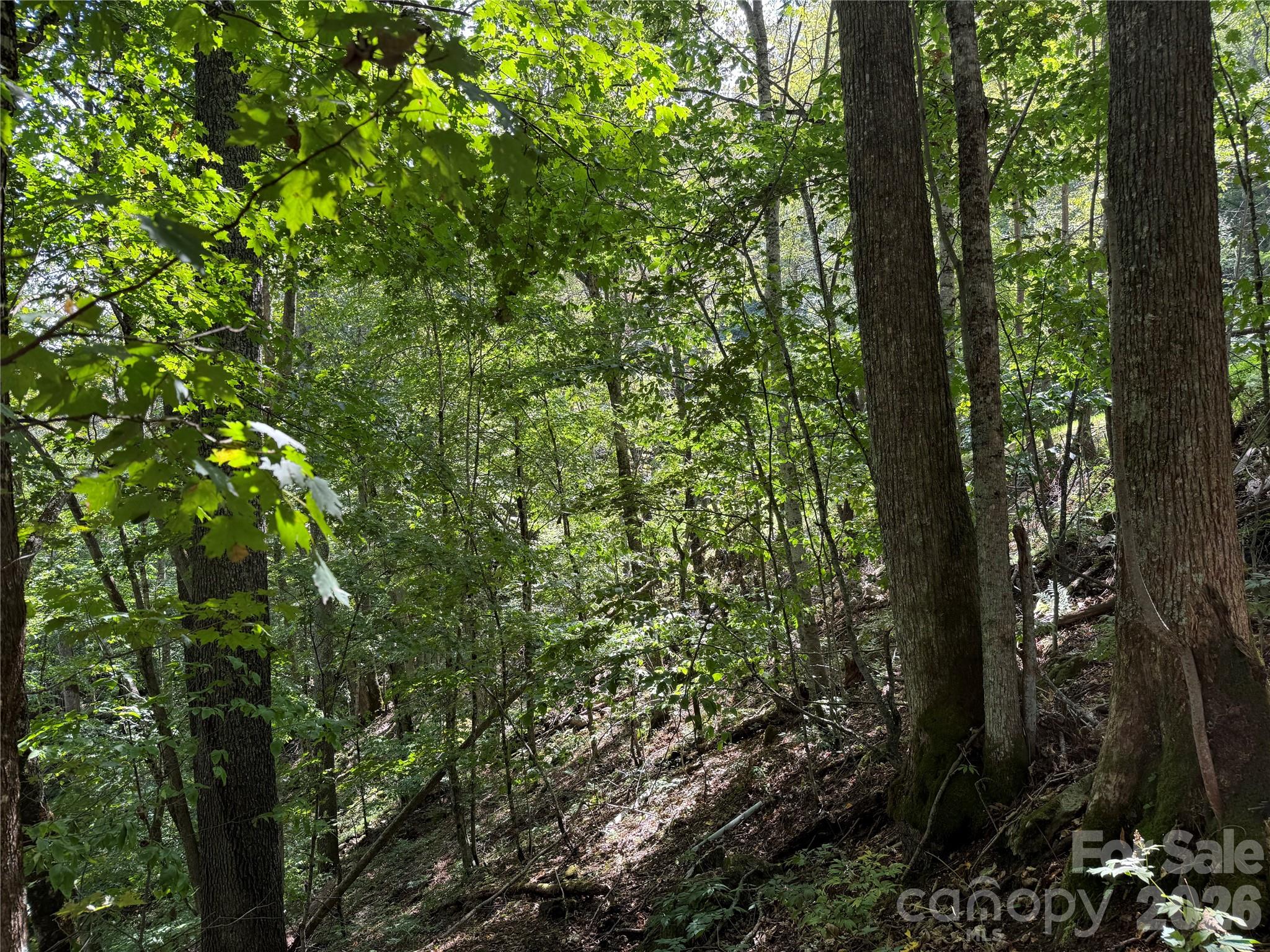 98 Goldenleaf Road Wake Forest, NC 27587 - Photo 18 of 39 Gallery Image 18