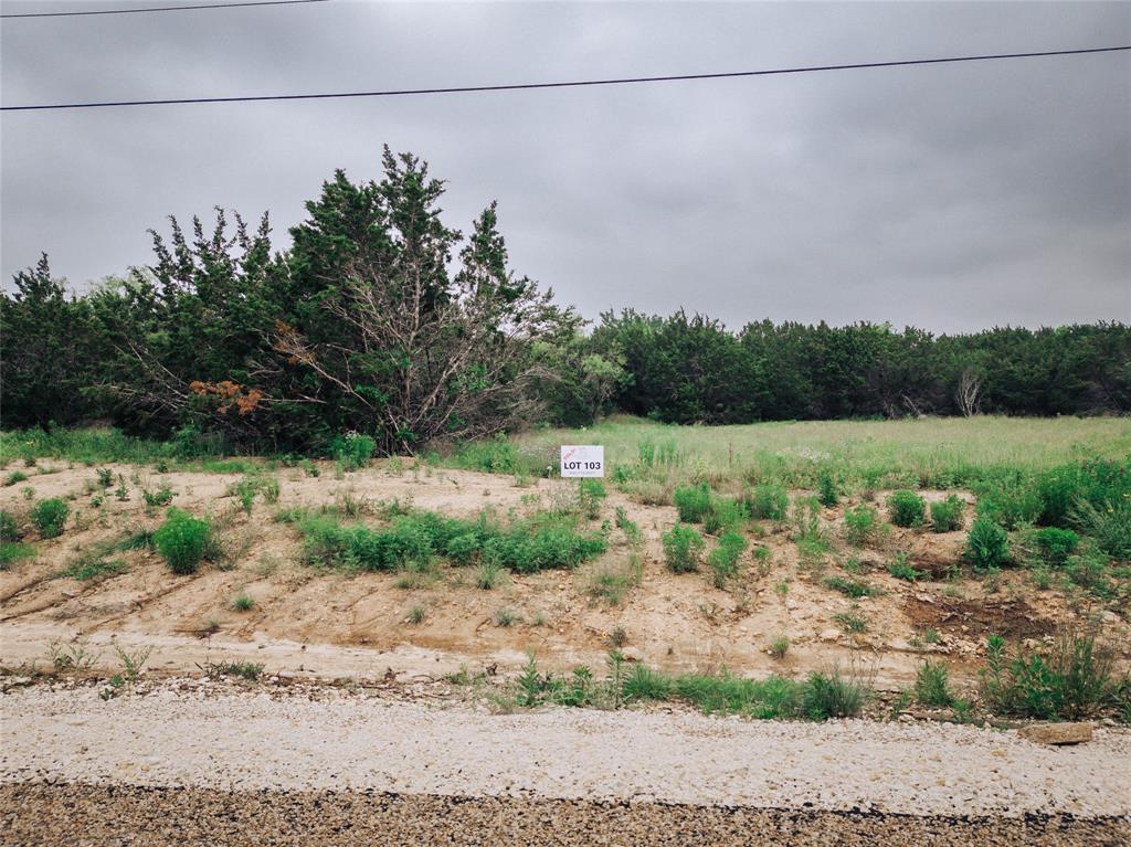 1165 County Road 407 Nemo, TX 76070 - Photo 1 of 7 a backyard of a house with lots of green space and fog