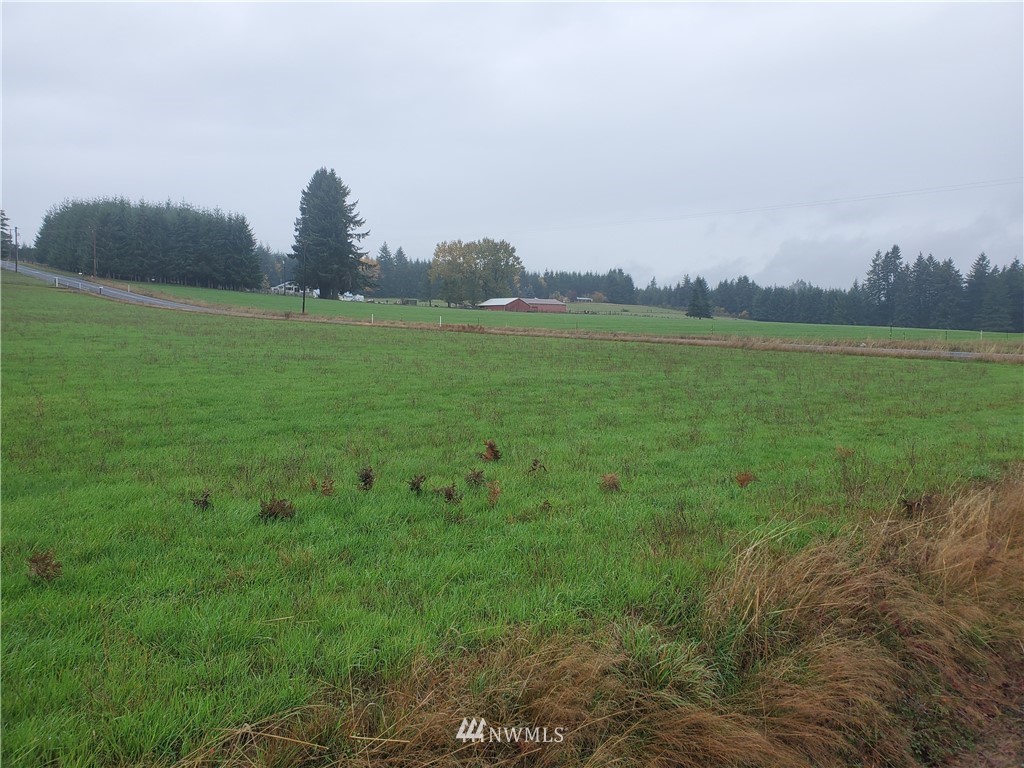 0 Jones Road Winlock, WA 98596 - Photo 2 of 3 Gallery Image 2