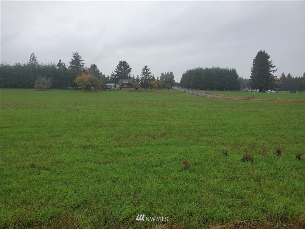 0 Jones Road Winlock, WA 98596 - Photo 3 of 3 Gallery Image 3