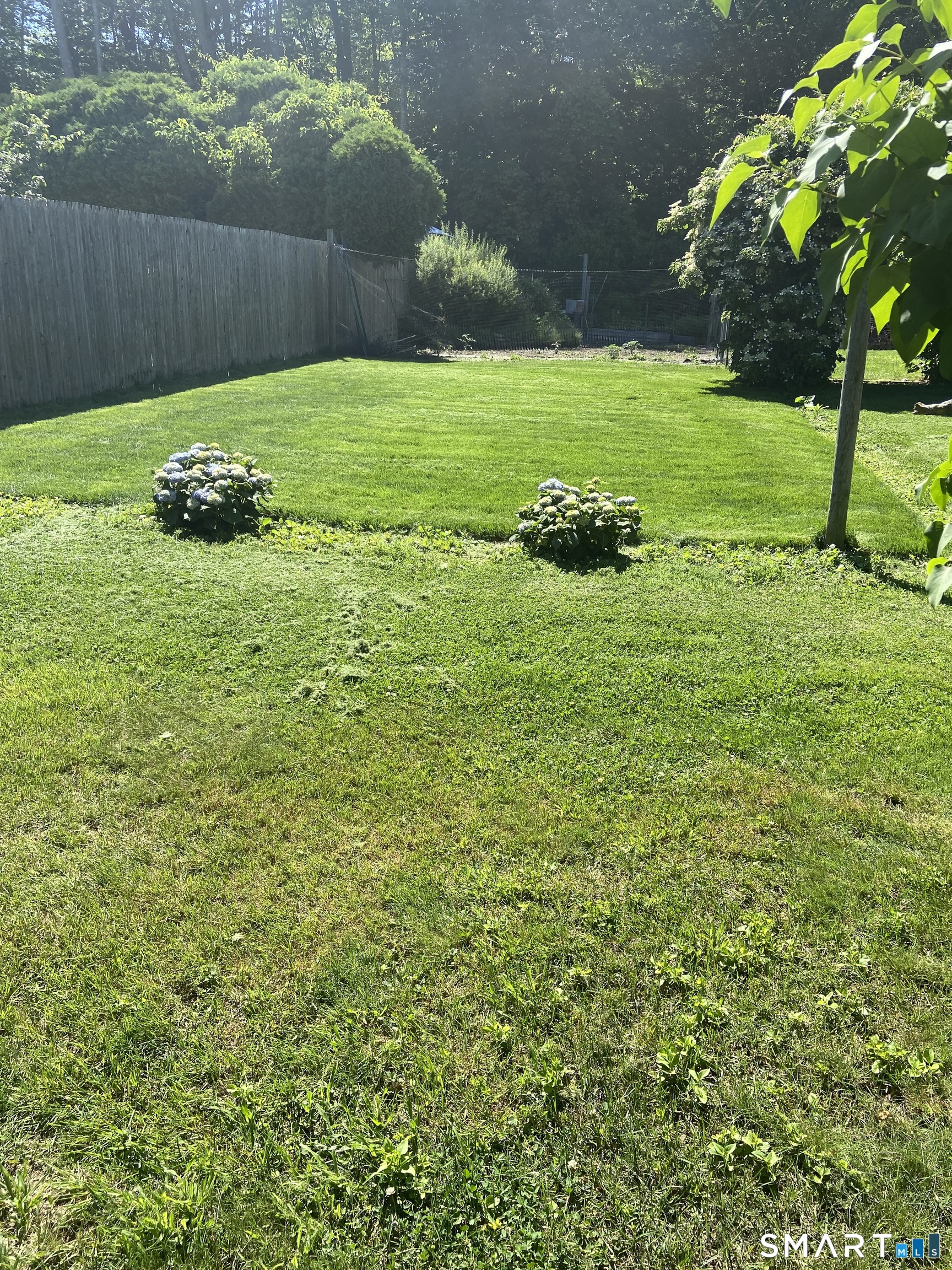 783 Buddington Road Groton, CT 06340 - Photo 32 of 35 a view of a garden with a bench