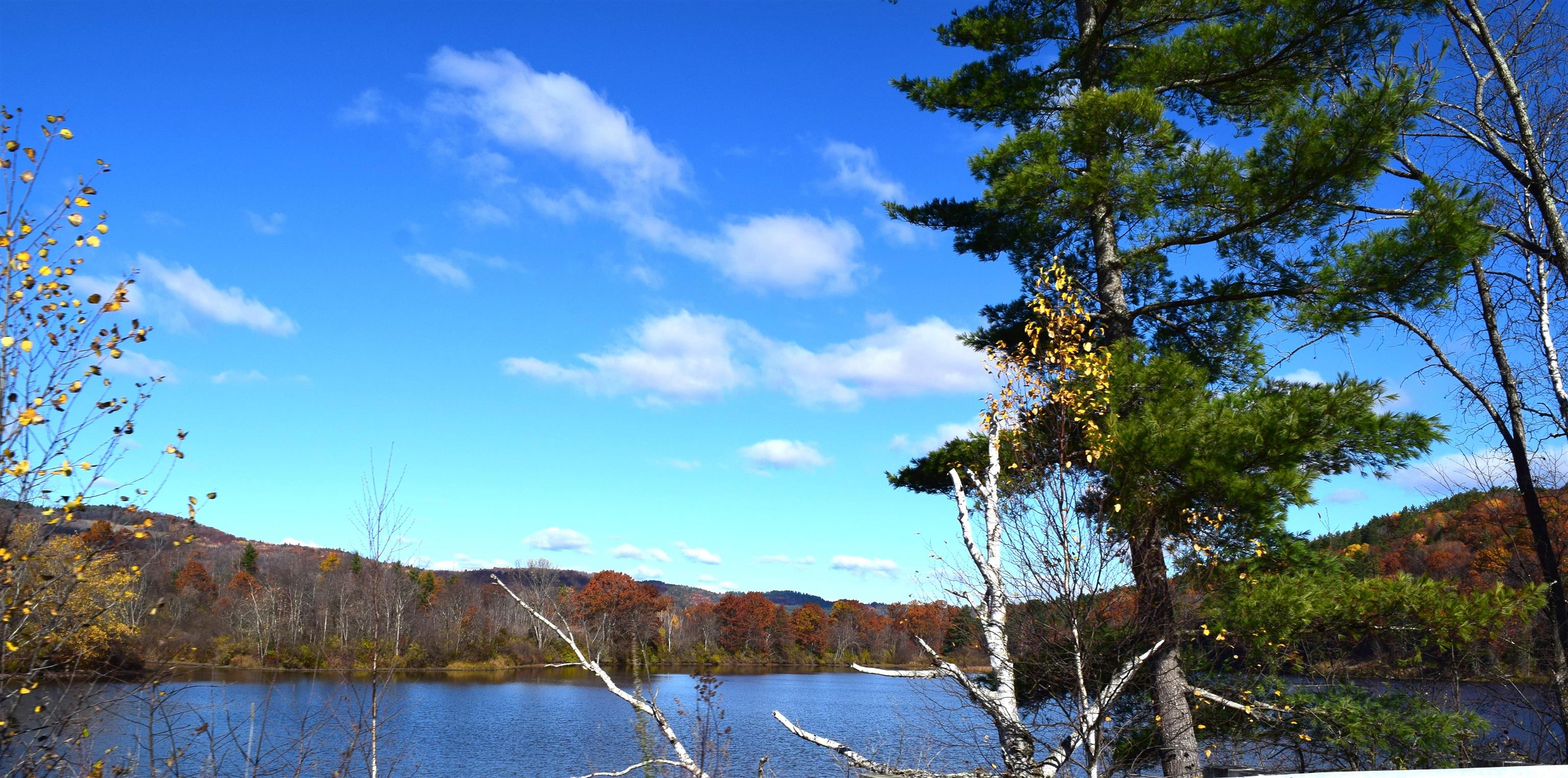 4615 Highway 5 Barnet, VT 05050 - Photo 50 of 50