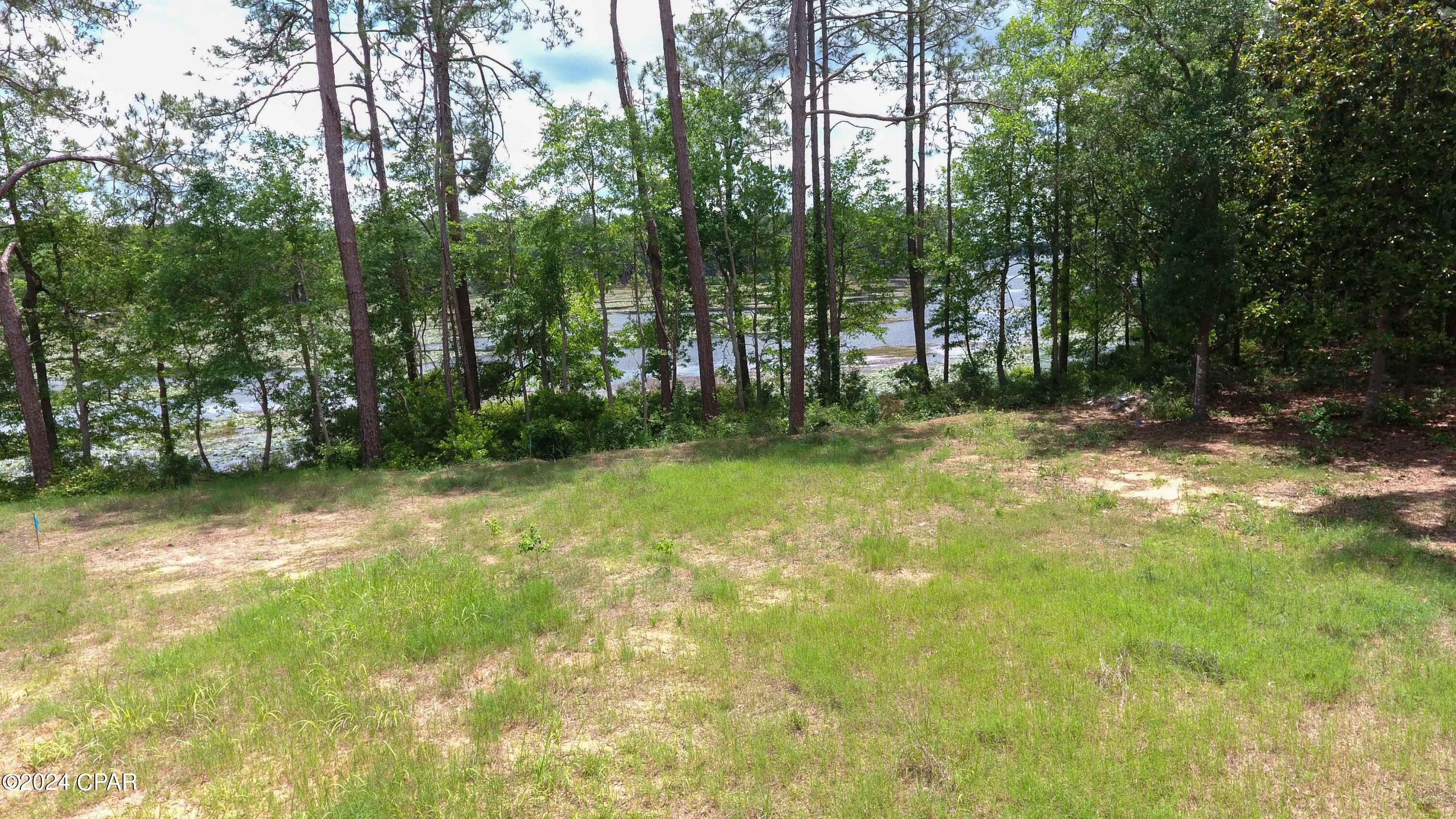 Tbd Cat Island Road DeFuniak Springs, FL 32433 - Photo 4 of 19 Gallery Image 4