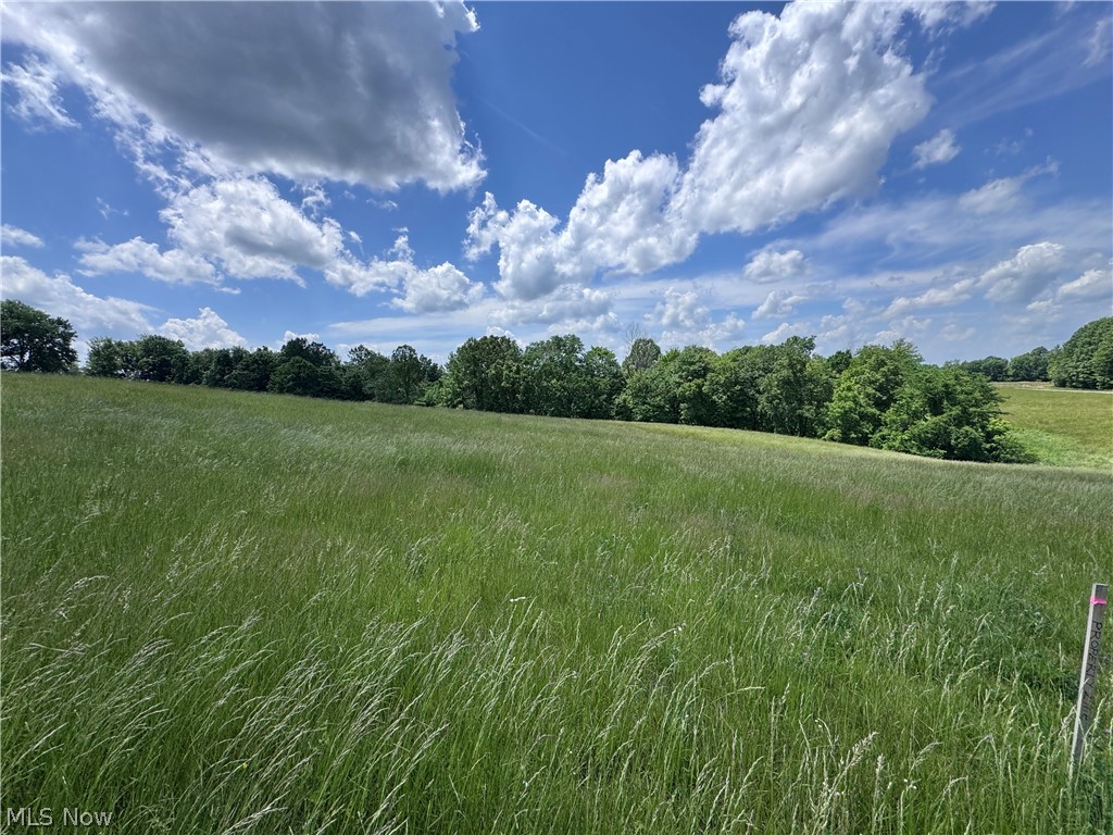 Johnson Ridge Road, Unit 4 6 Stockport, OH 43787 - Photo 16 of 16