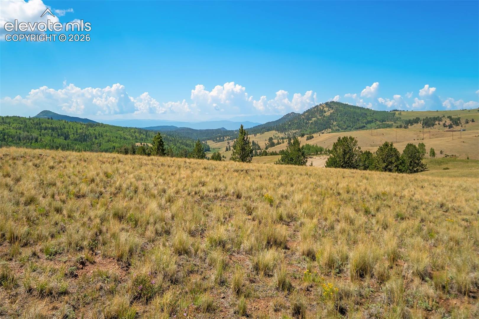 86 County Road Victor, CO 80860 - Photo 49 of 50 Gallery Image 49