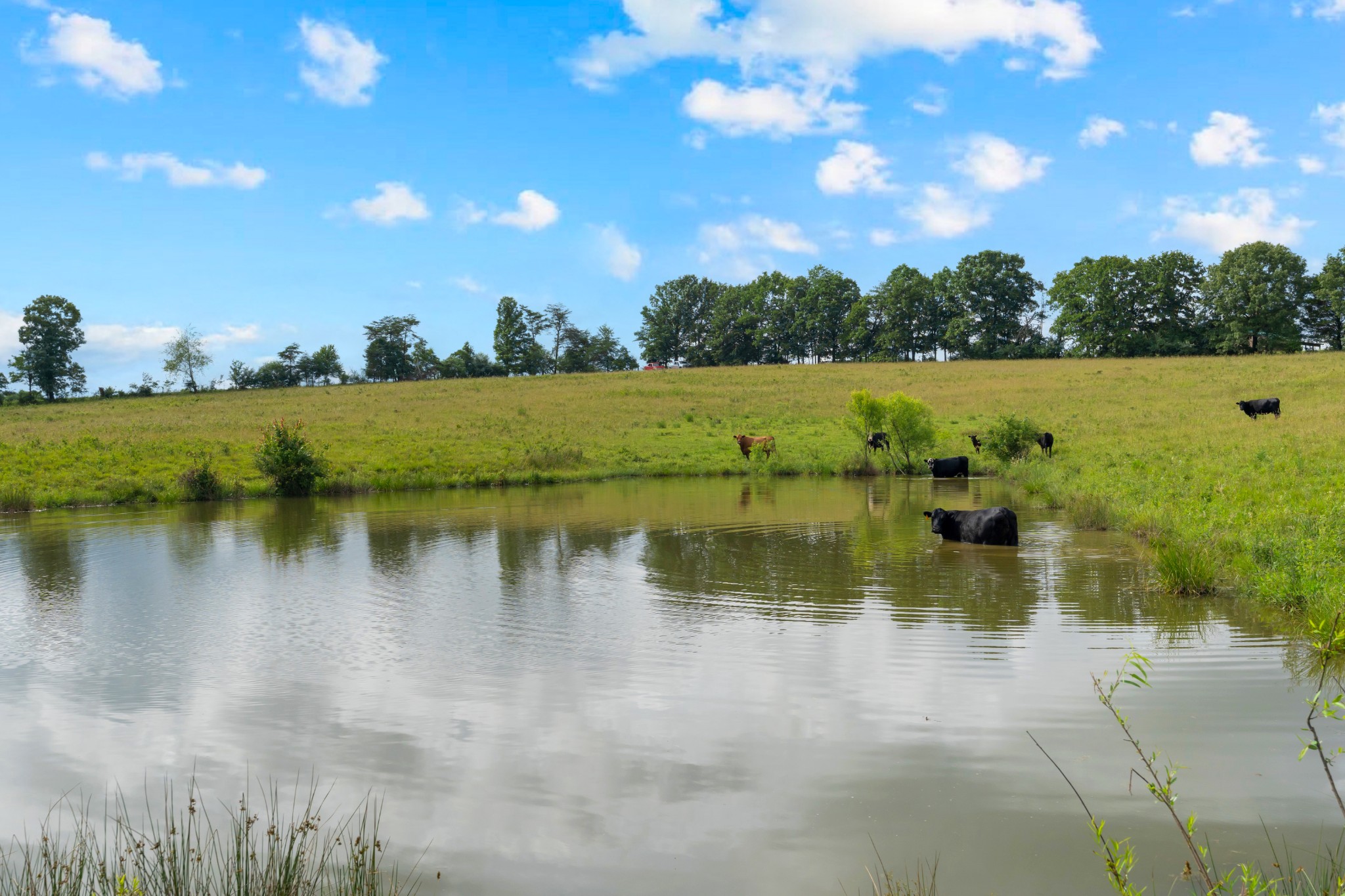 0 Salzer Mountain Road Spencer, TN 38585 - Photo 28 of 28