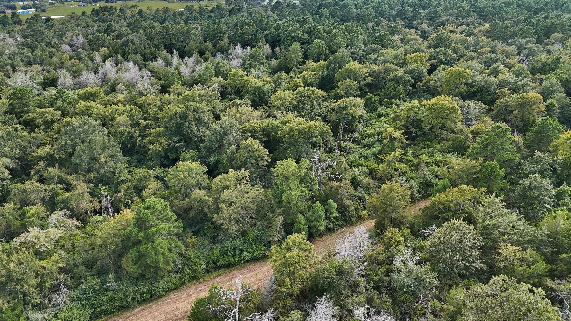 29028 Sandpiper Prairie View, TX 77445 - Photo 11 of 13 an aerial view of a forest with houses