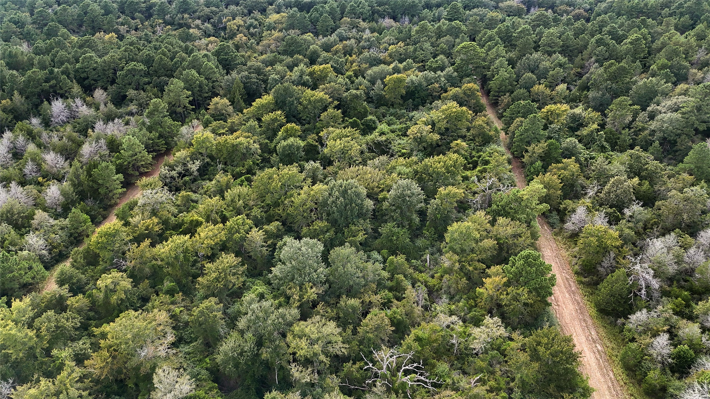 29028 Sandpiper Prairie View, TX 77445 - Photo 12 of 13 an aerial view of residential houses with outdoor space