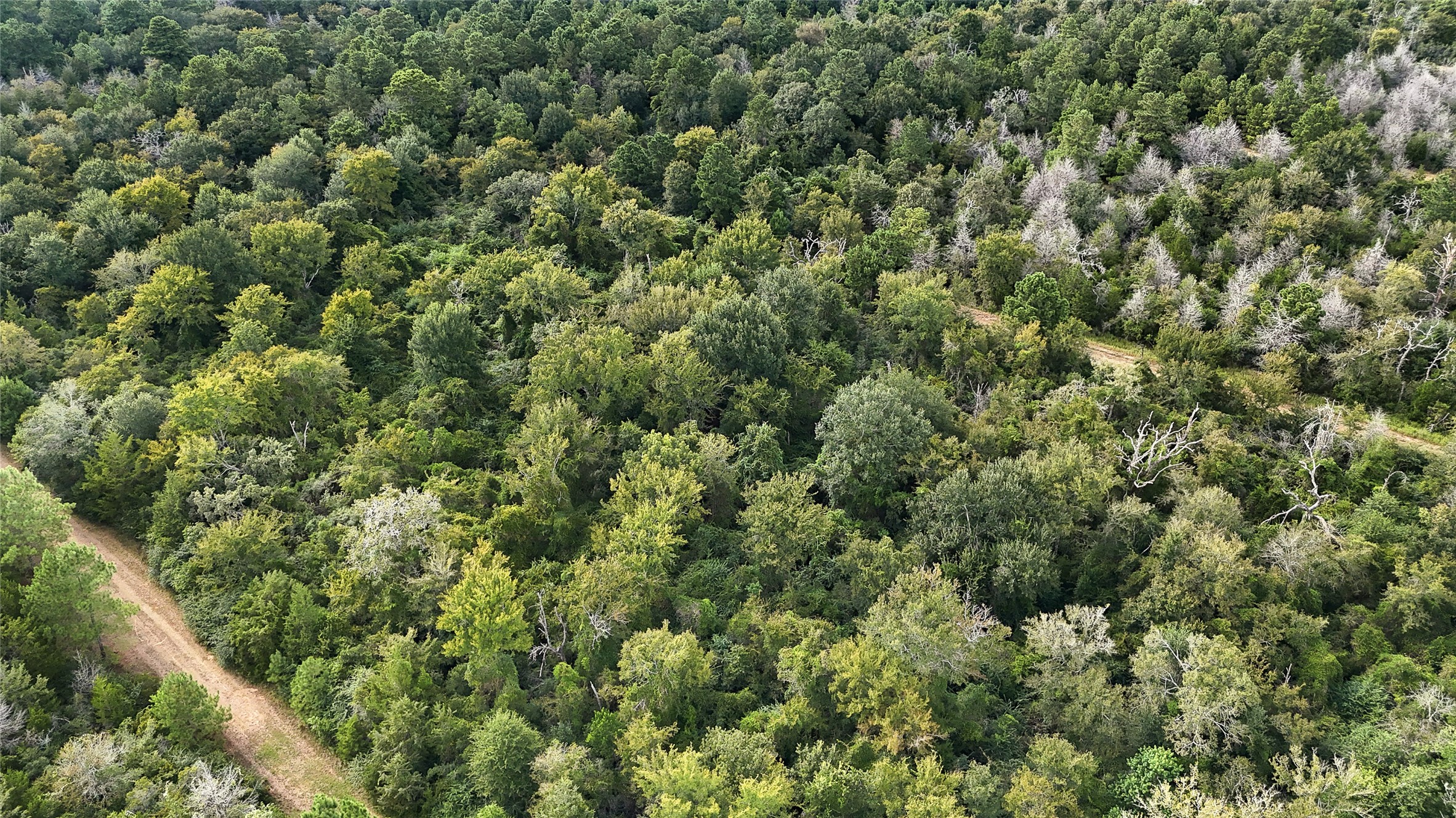 29028 Sandpiper Prairie View, TX 77445 - Photo 13 of 13