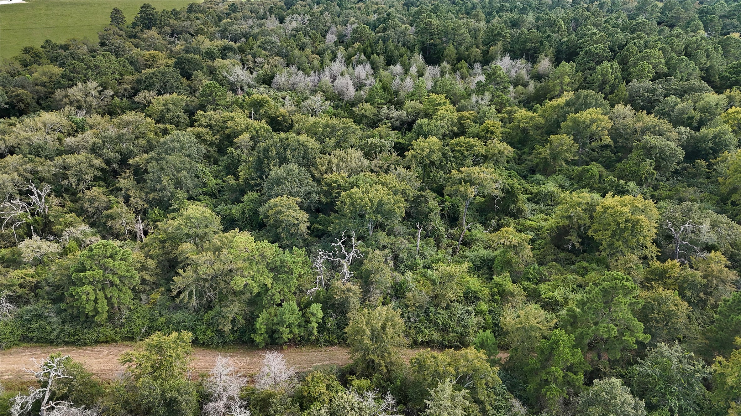 29028 Sandpiper Prairie View, TX 77445 - Photo 3 of 13 an aerial view of residential house with outdoor space and trees all around