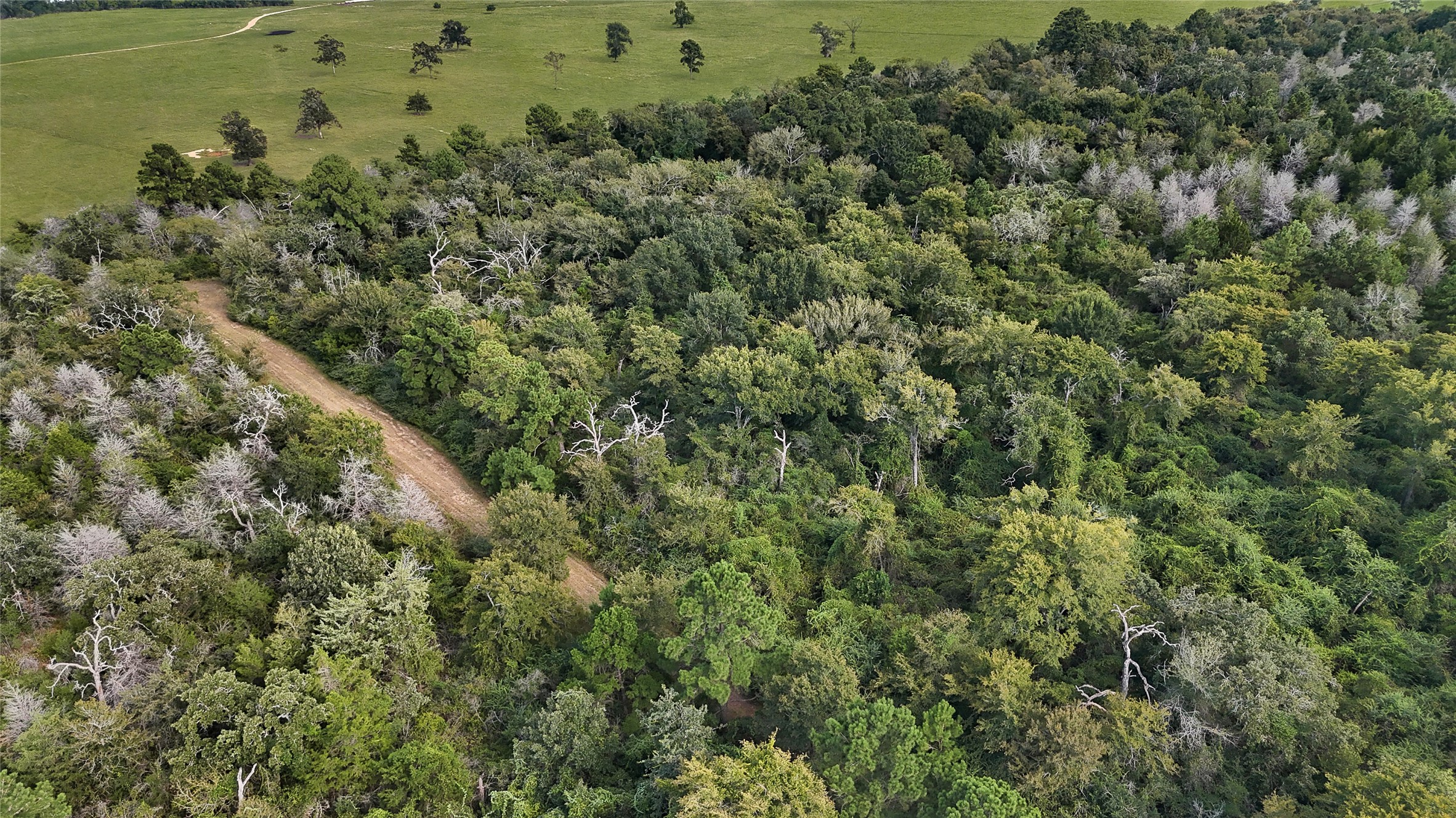 29028 Sandpiper Prairie View, TX 77445 - Photo 6 of 13 an aerial view of a houses with a yard