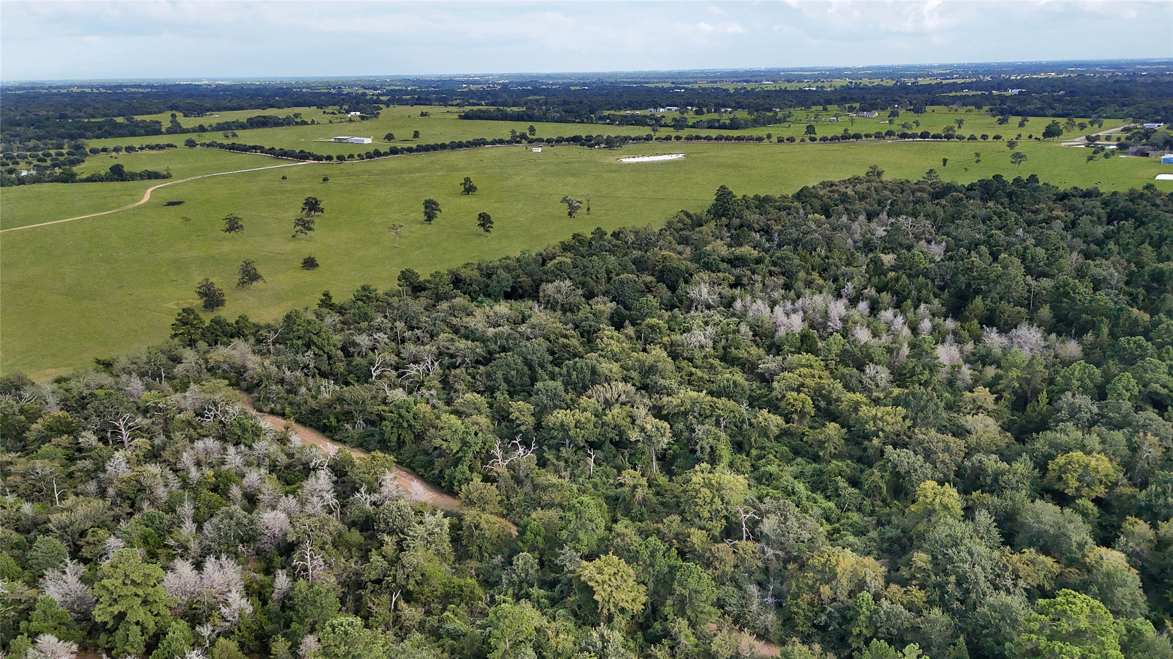 29028 Sandpiper Prairie View, TX 77445 - Photo 8 of 13 a view of a city with a lake view