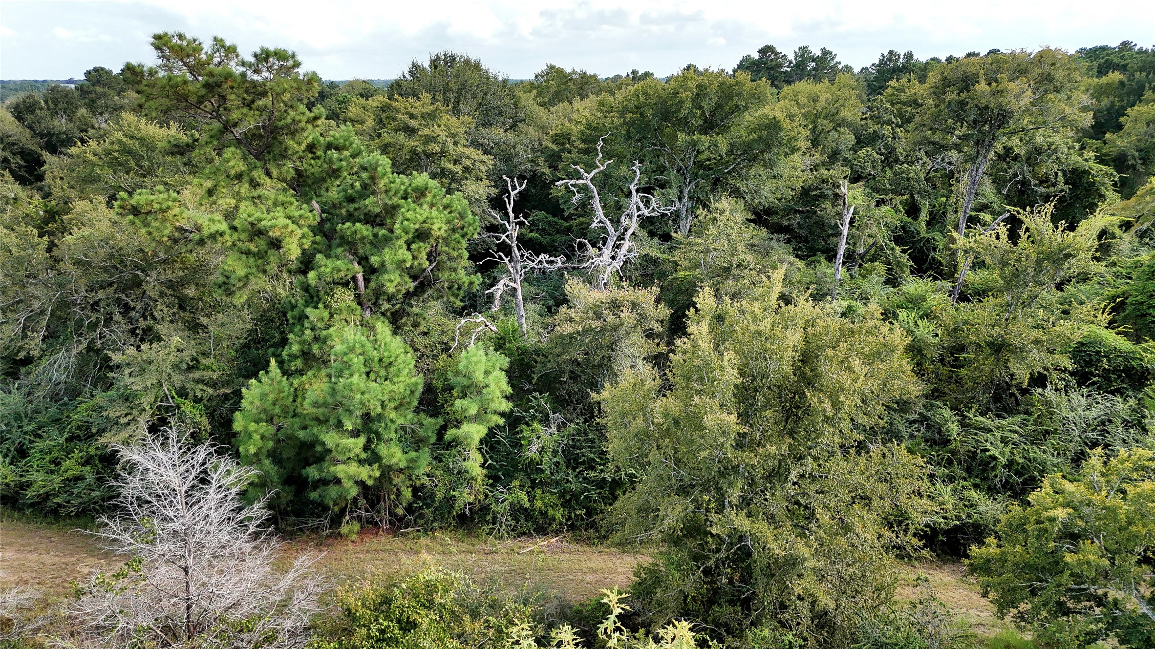 29028 Sandpiper Prairie View, TX 77445 - Photo 9 of 13 an aerial view of a forest with houses