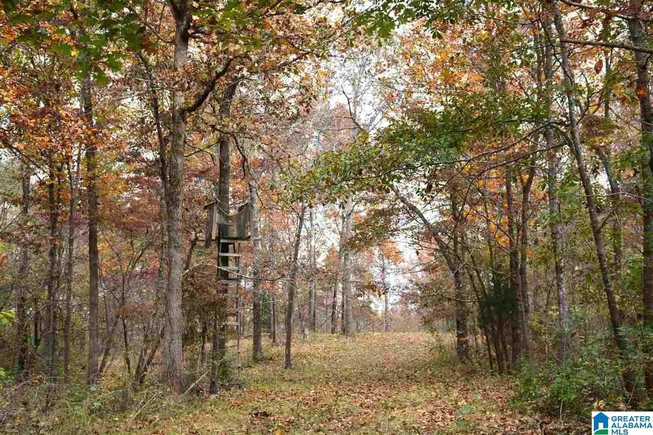 0 Jackson Loop Road, Unit 1 Ragland, AL 35131 - Photo 6 of 27