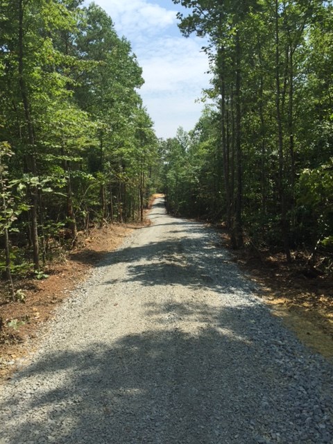 12 Jacoby Road Louisa, VA 23093 - Photo 1 of 6 a view of a yard with plants and trees