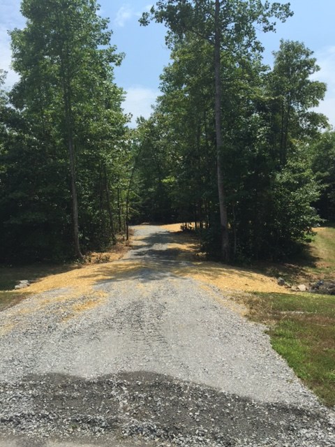 12 Jacoby Road Louisa, VA 23093 - Photo 3 of 6 a view of road and yard