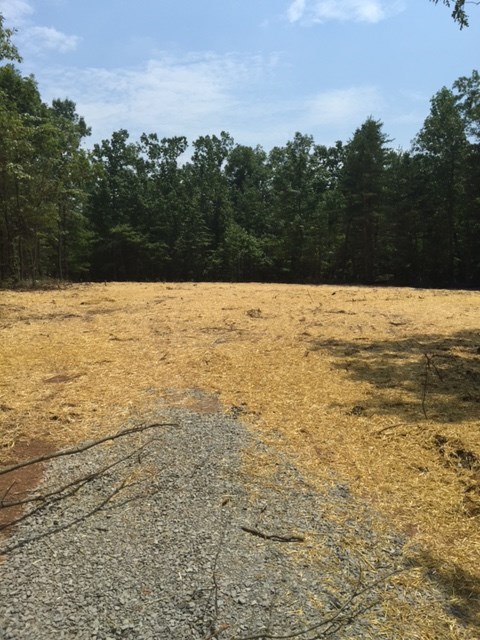 12 Jacoby Road Louisa, VA 23093 - Photo 4 of 6 a view of an ocean