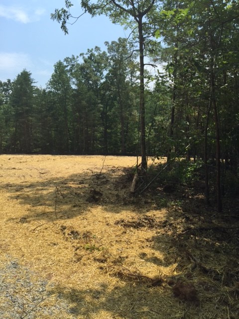12 Jacoby Road Louisa, VA 23093 - Photo 5 of 6 a view of an ocean beach