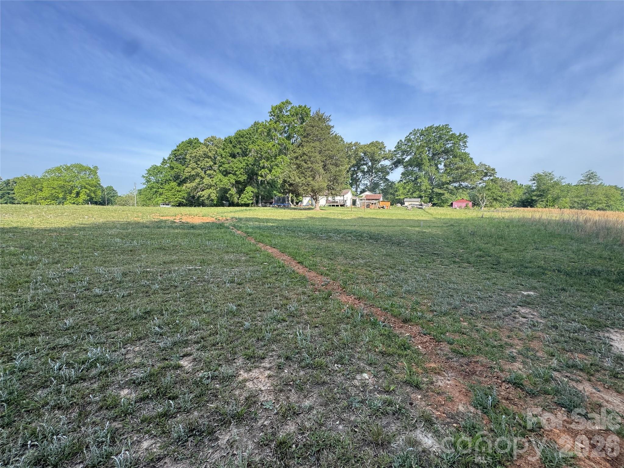 1319 Rollings Roost Road Lancaster, SC 29720 - Photo 24 of 29 a view of a field with plants and trees