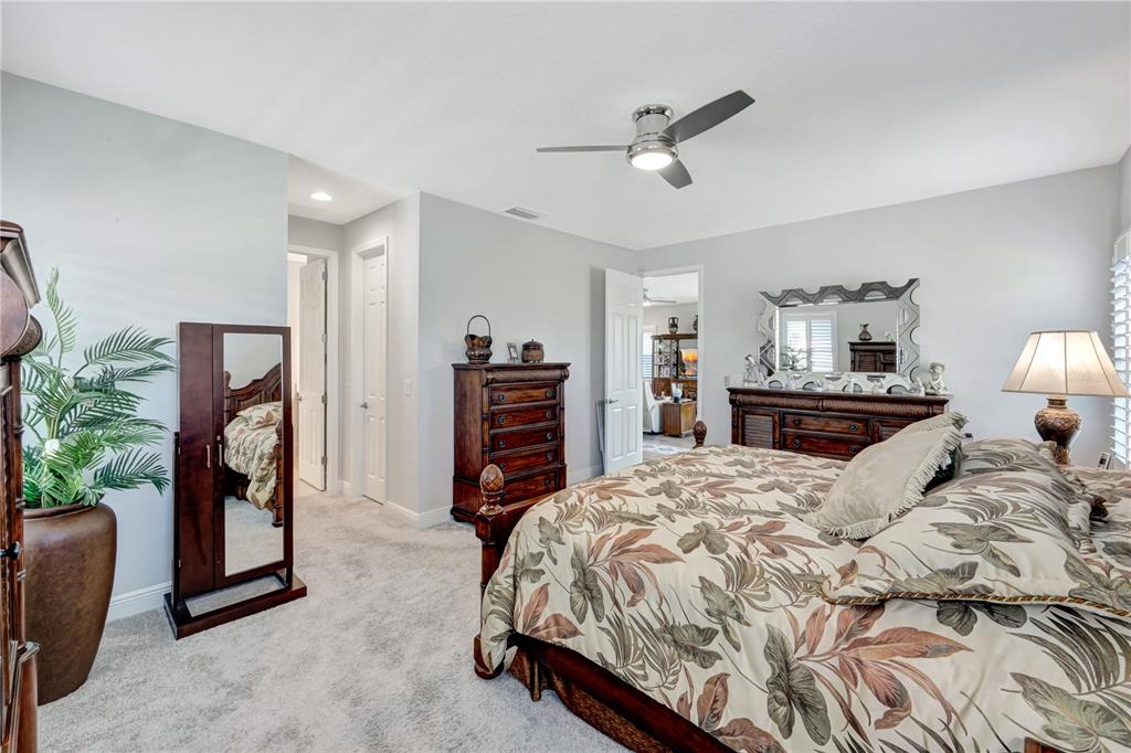 6219 Golden Nettle Drive Apollo Beach, FL 33572 - Photo 12 of 37 a bedroom with a large bed and a chandelier