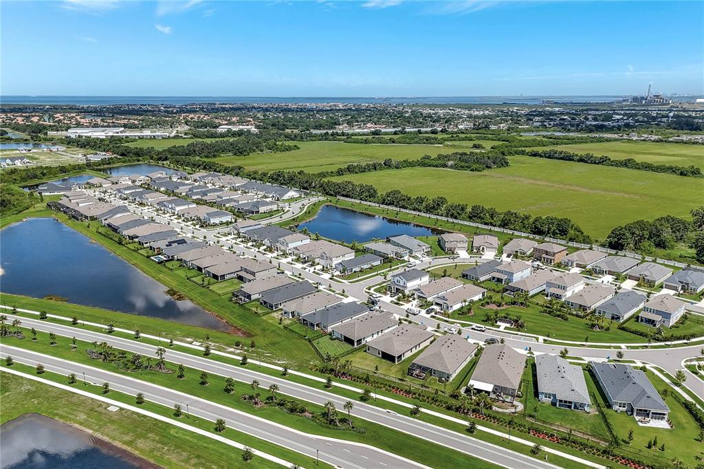 6219 Golden Nettle Drive Apollo Beach, FL 33572 - Photo 31 of 37 a view of a city