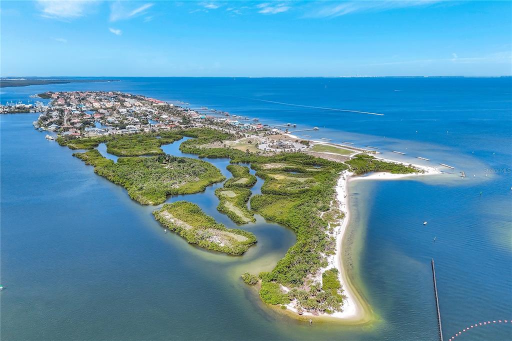 6219 Golden Nettle Drive Apollo Beach, FL 33572 - Photo 33 of 37 a view of a lake