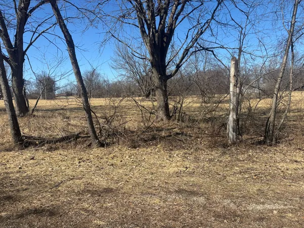 a view of a yard covered with snow