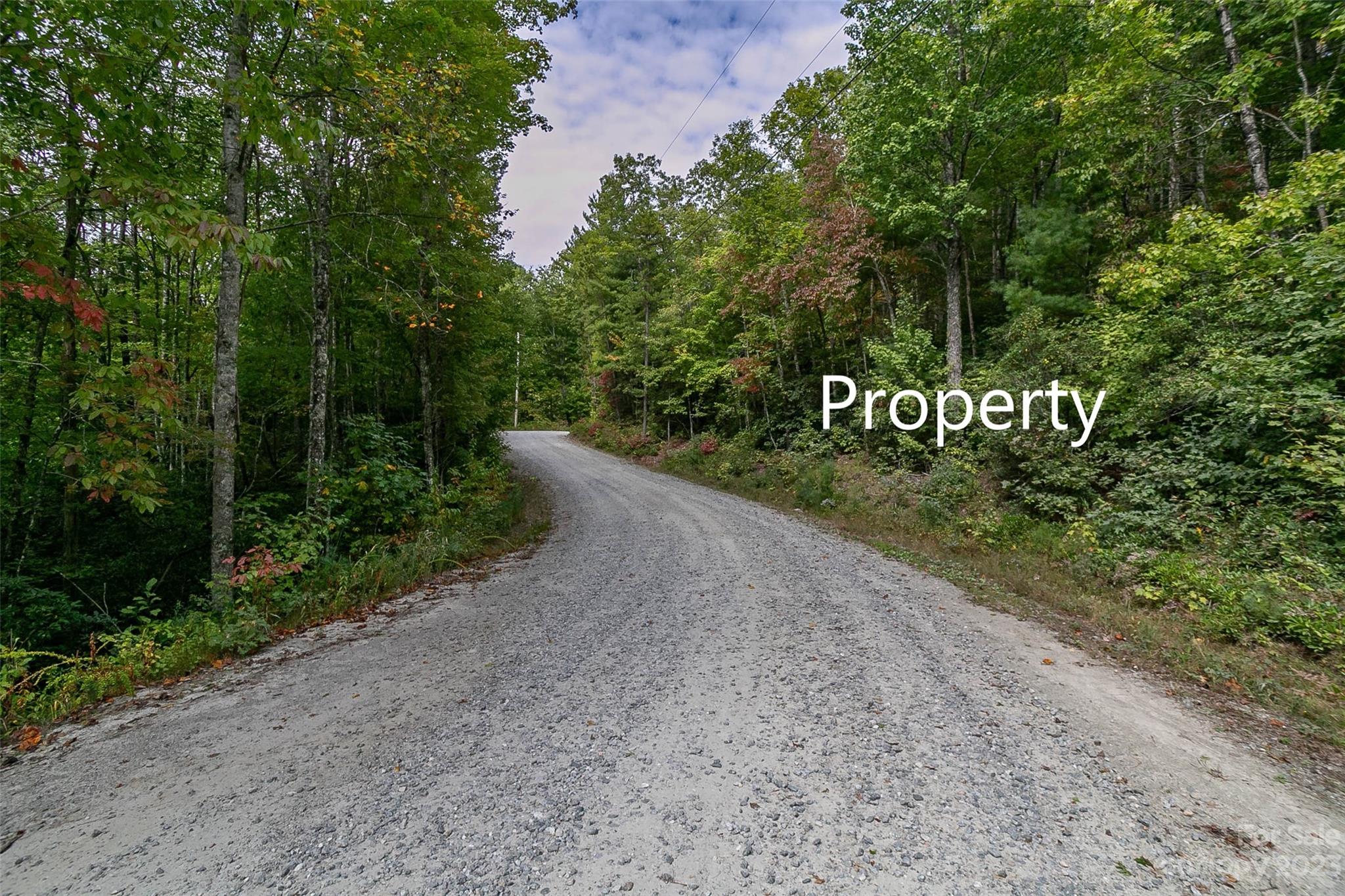 87 Oak Laurel Road Brevard, NC 28712 - Photo 13 of 14 a view of a street with trees in front of it