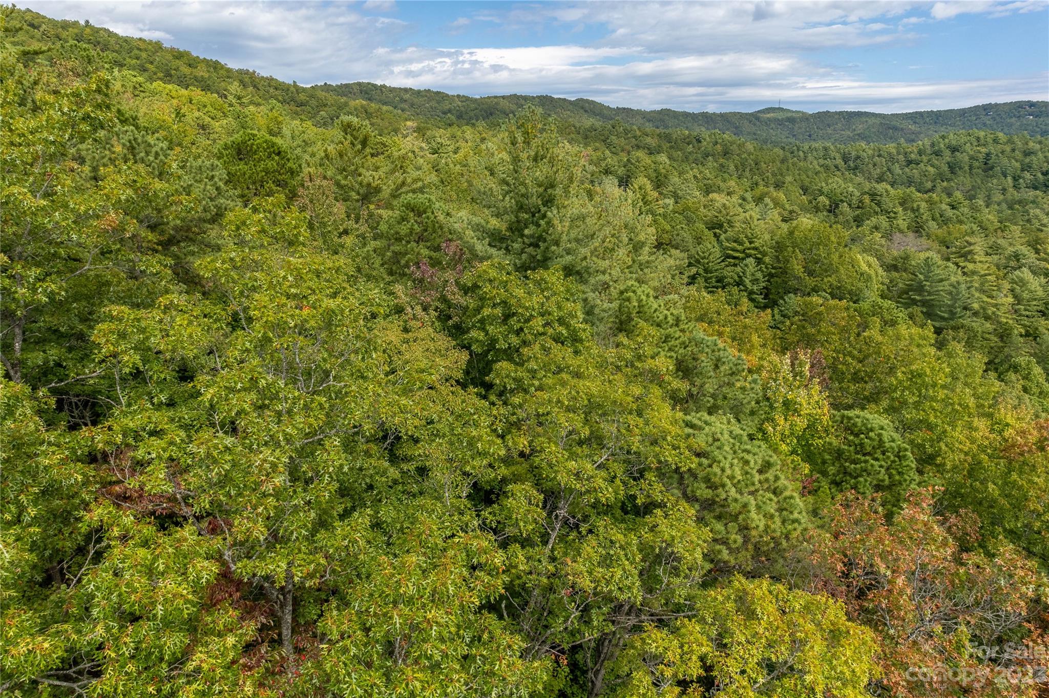 87 Oak Laurel Road Brevard, NC 28712 - Photo 14 of 14 a view of a yard with an outdoor space