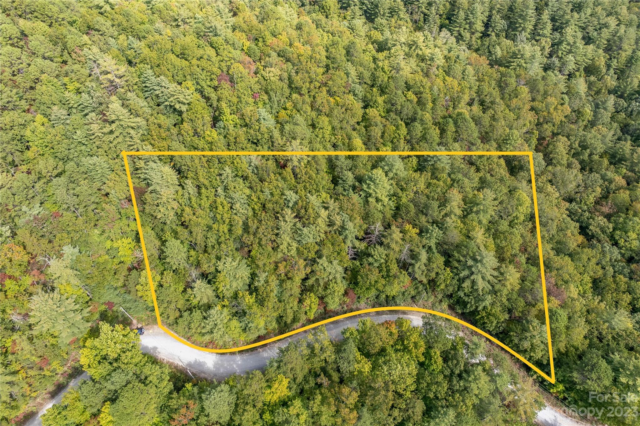 87 Oak Laurel Road Brevard, NC 28712 - Photo 2 of 14 a view of a swimming pool and trees