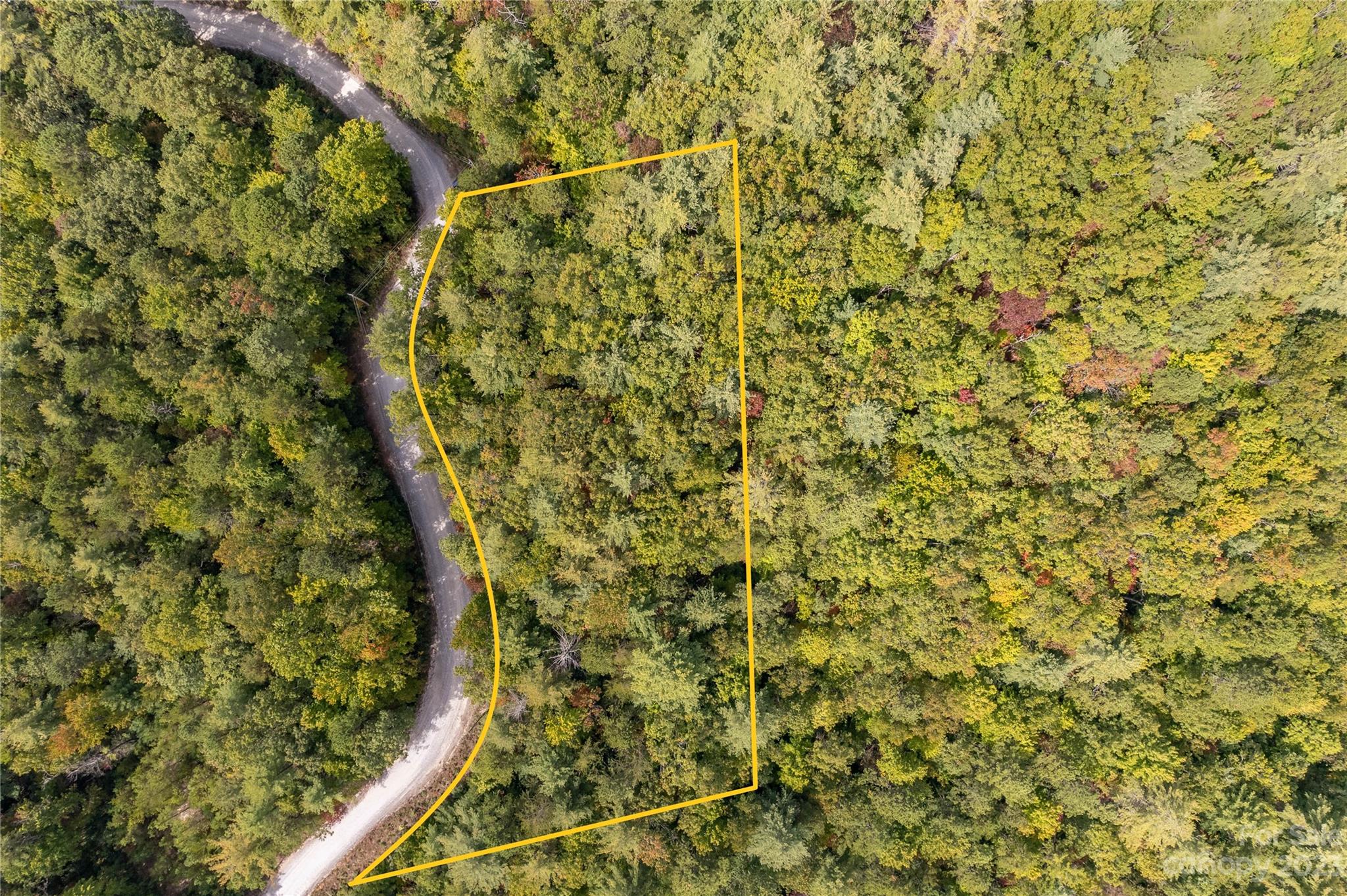 87 Oak Laurel Road Brevard, NC 28712 - Photo 4 of 14