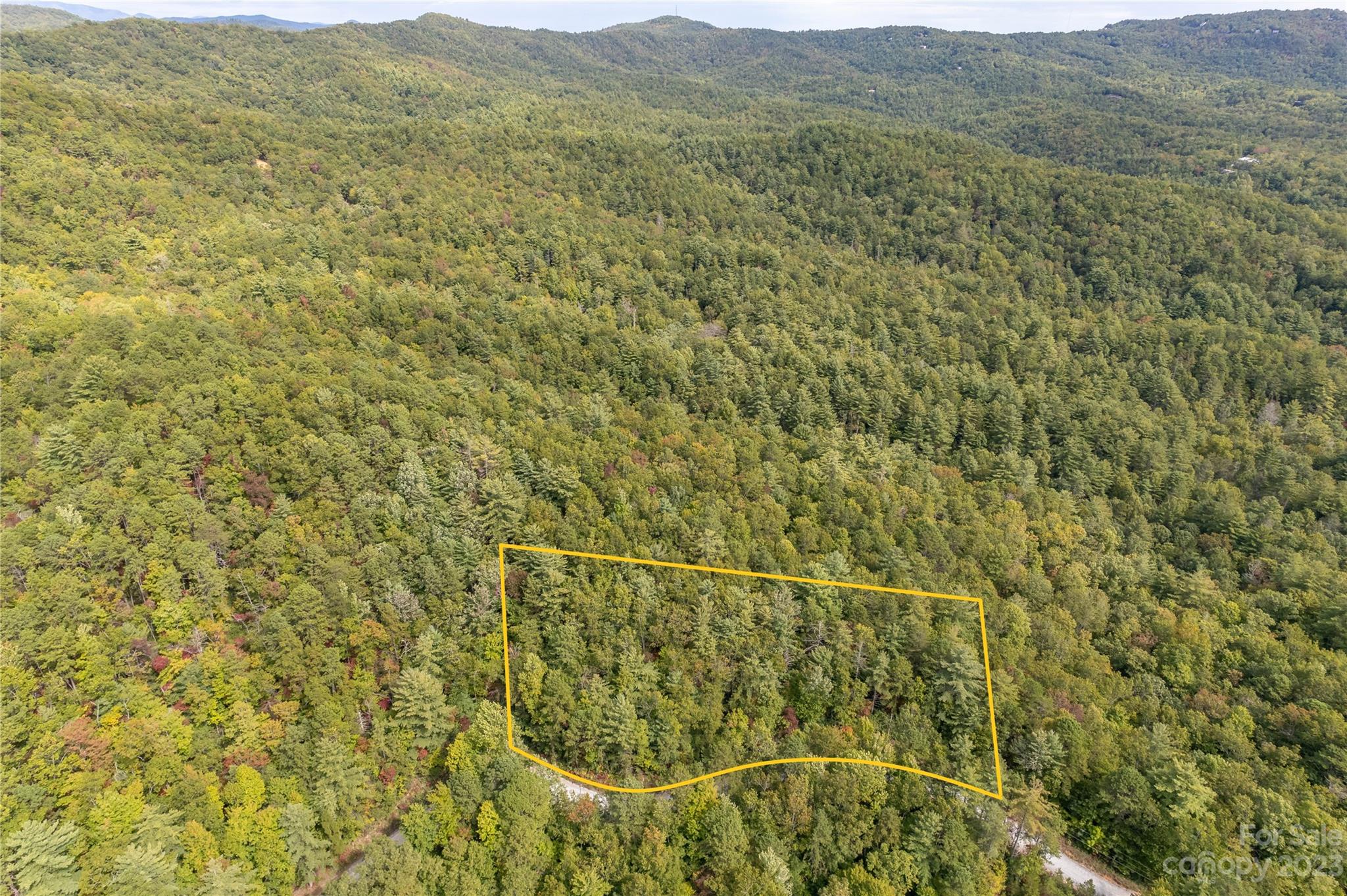 87 Oak Laurel Road Brevard, NC 28712 - Photo 6 of 14 a view of a dry yard with green field and mountains