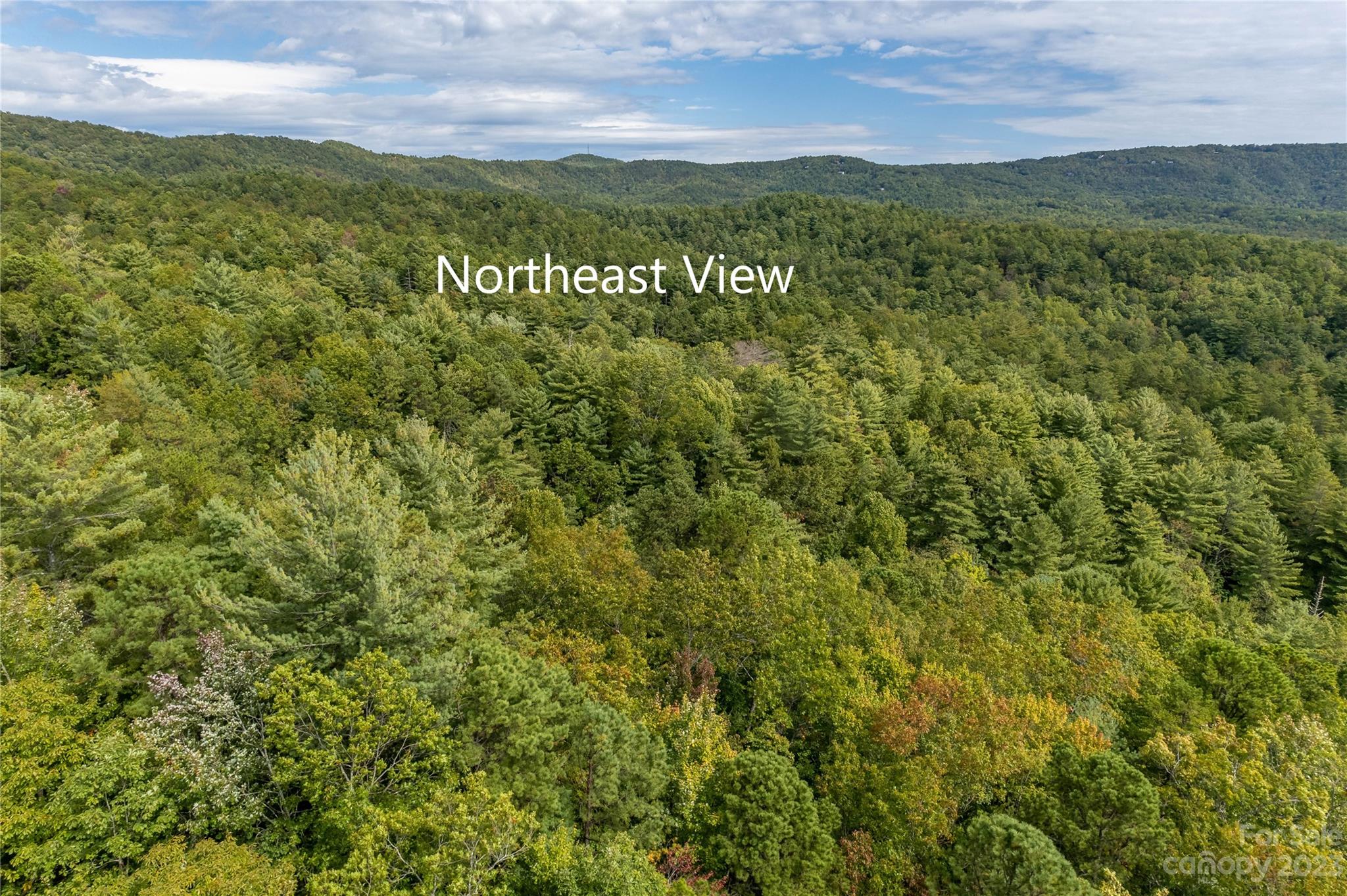 87 Oak Laurel Road Brevard, NC 28712 - Photo 7 of 14 a view of a city with lush green forest