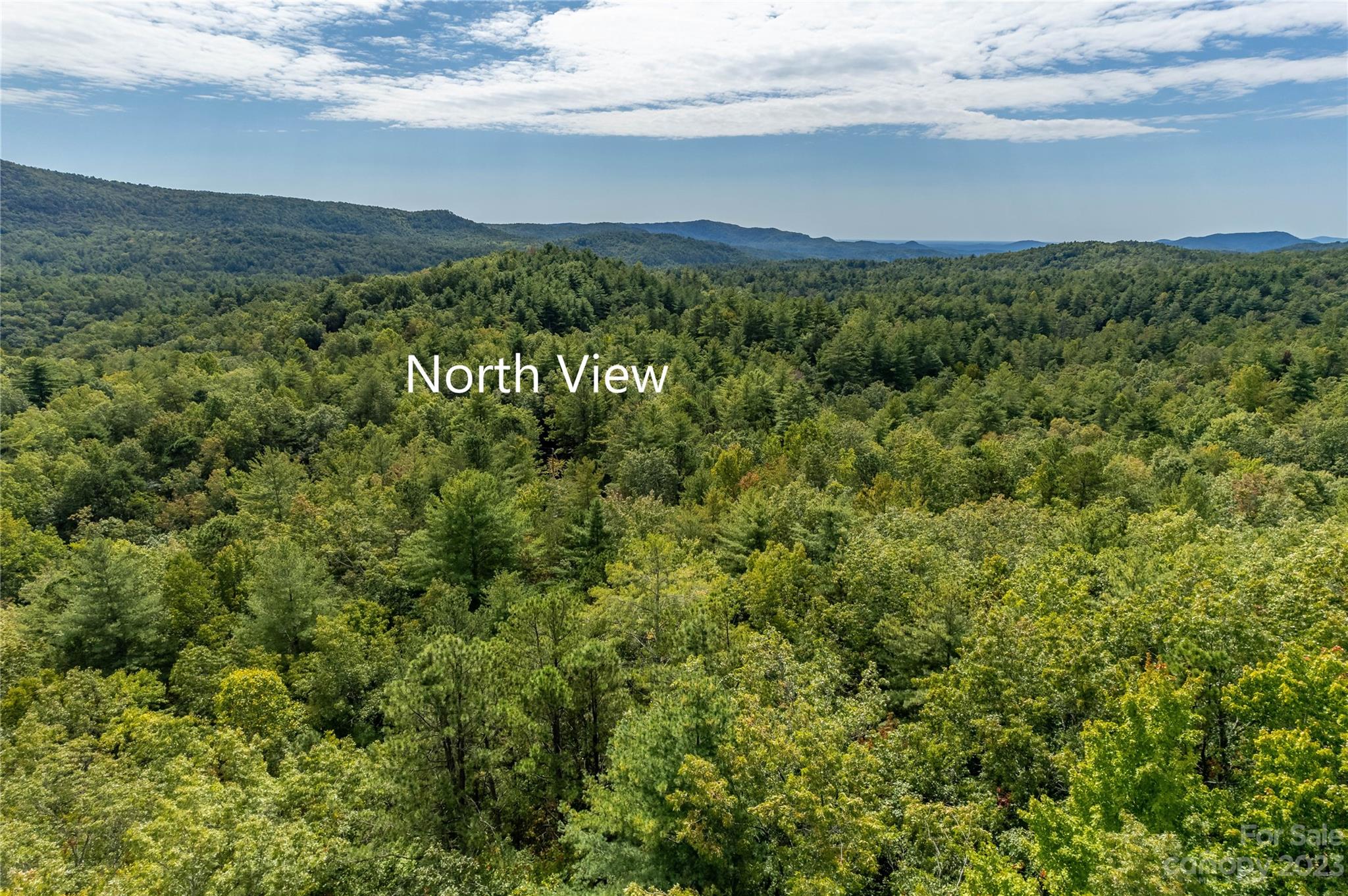 87 Oak Laurel Road Brevard, NC 28712 - Photo 8 of 14 a view of a field with an ocean