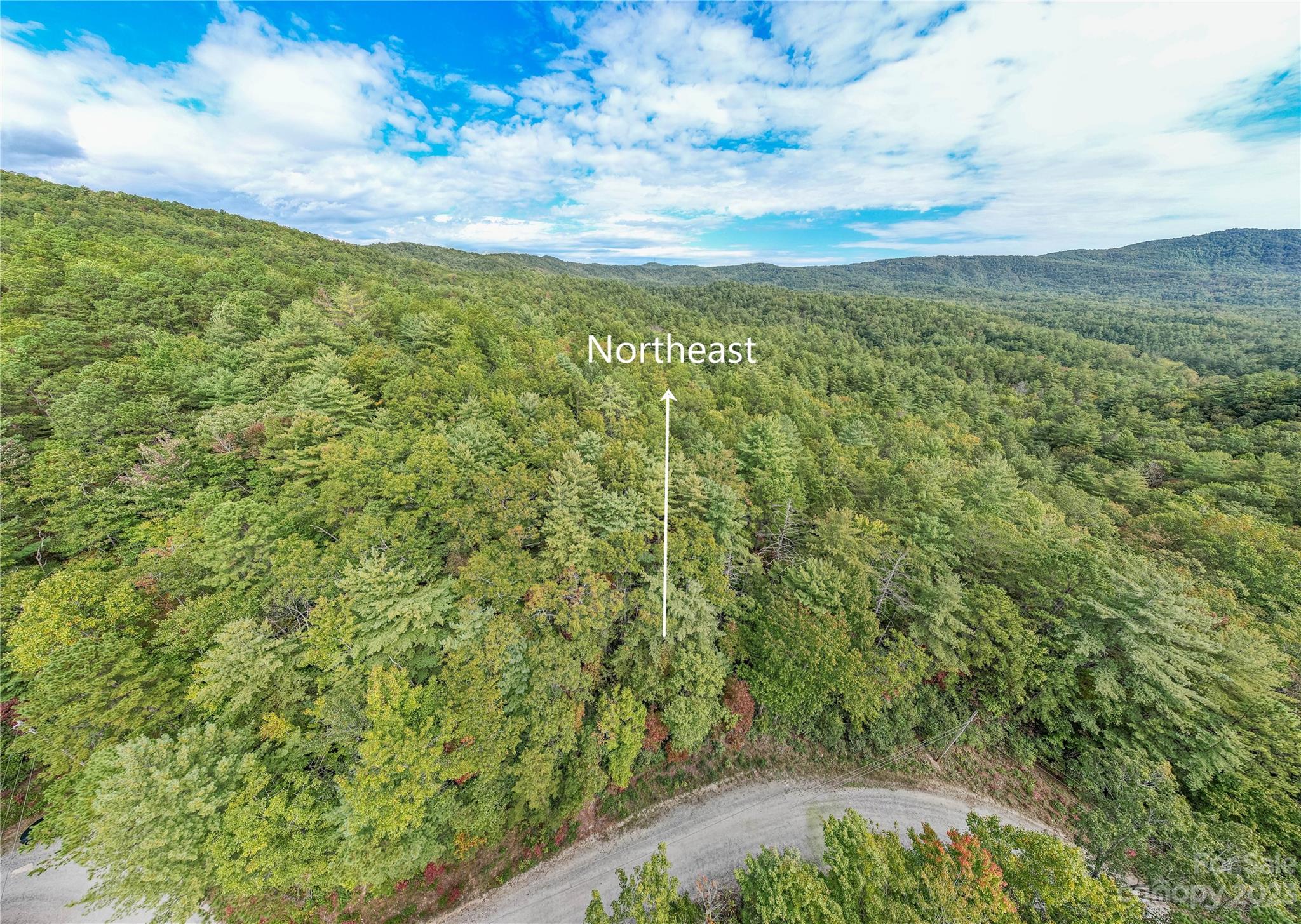 87 Oak Laurel Road Brevard, NC 28712 - Photo 9 of 14 a view of a yard with an outdoor space