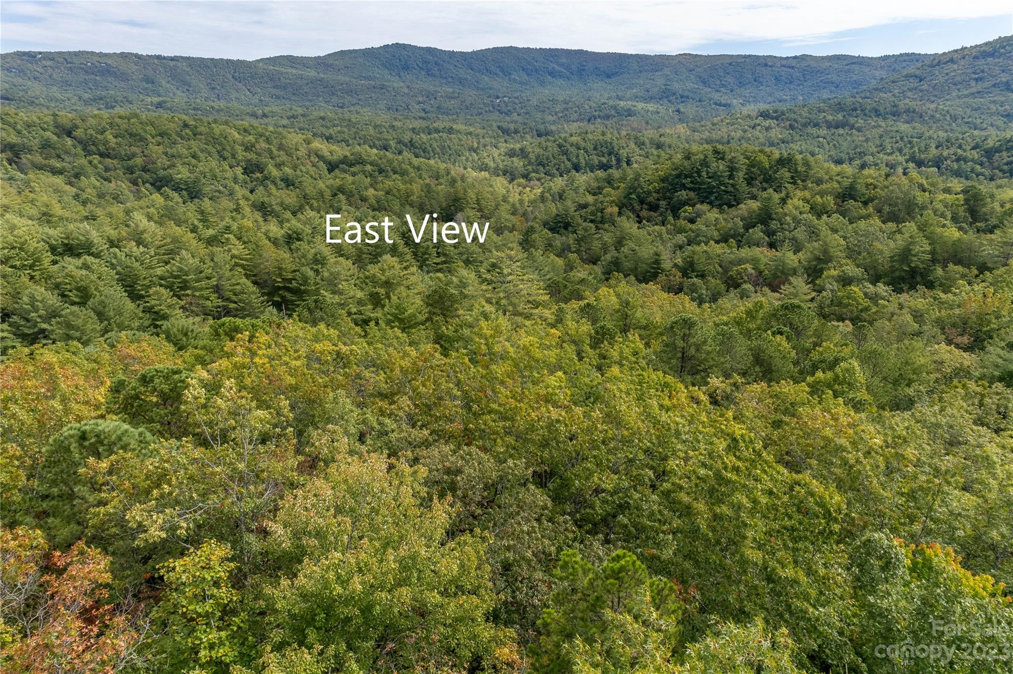 87 Oak Laurel Road Brevard, NC 28712 - Photo 10 of 14 a view of a lush green hillside and a houses