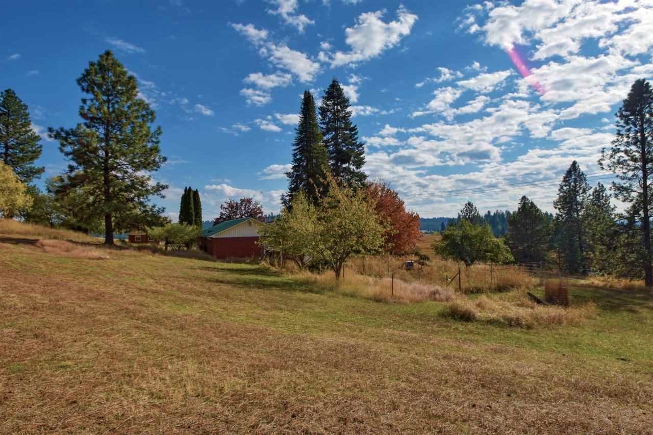 5601 East Bernhill Road Colbert, WA 99005 - Photo 41 of 44