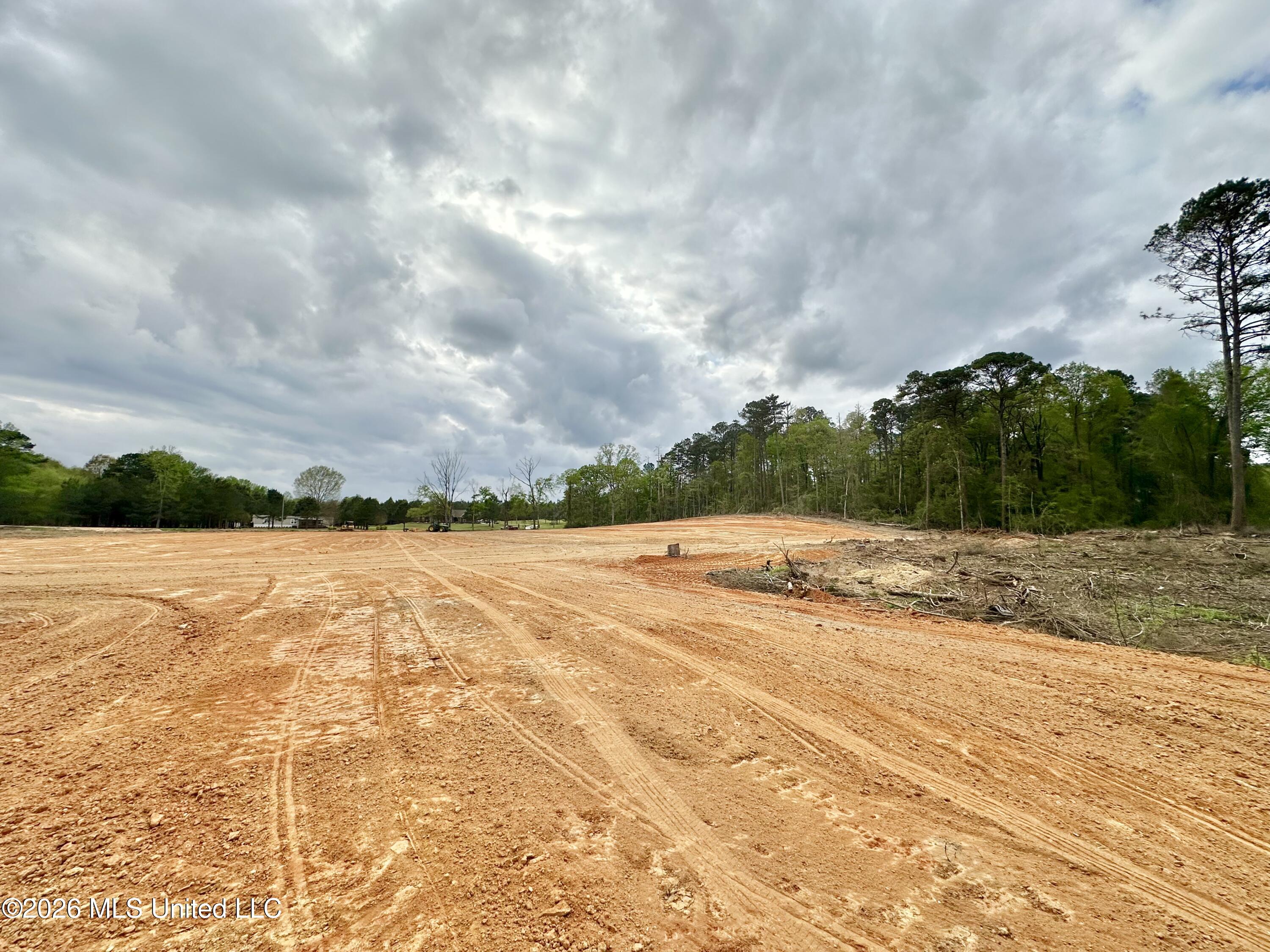 0 Us Highway Magee, MS 39111 - Photo 2 of 5 IMG_2808