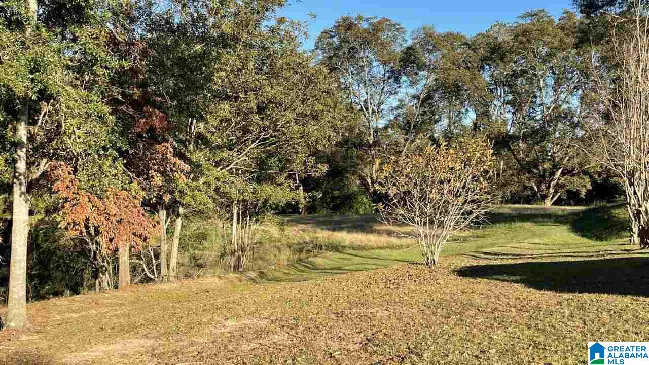 220 Dakota Road Thorsby, AL 35171 - Photo 11 of 11