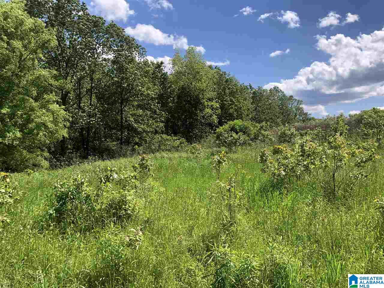 230 Copper Springs Road Odenville, AL 35120 - Photo 21 of 42