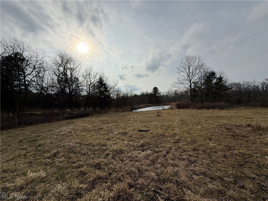 8290 Avon Lake Road Lodi, OH 44254 - Photo 11 of 14