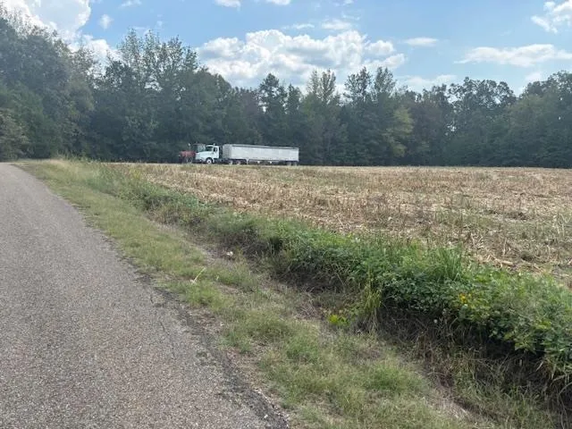 a view of a dry yard with trees
