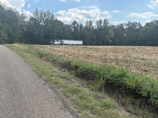 0 Bass Road Middleton, TN 38052 - Photo 2 of 8 a view of a dry yard with trees