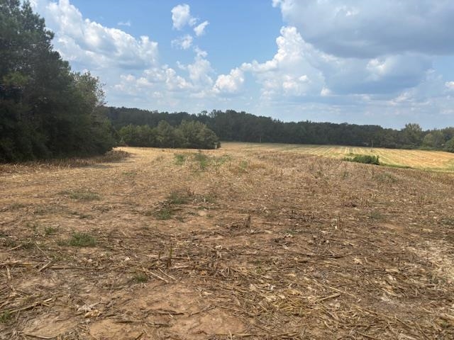 0 Bass Road Middleton, TN 38052 - Photo 3 of 8