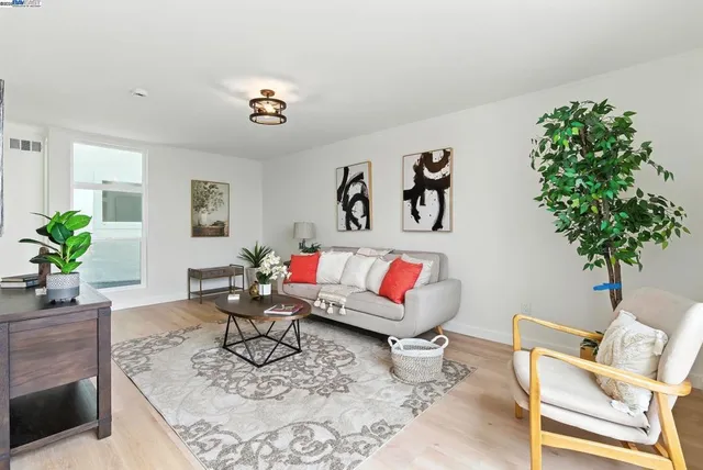 a living room with furniture and a potted plant