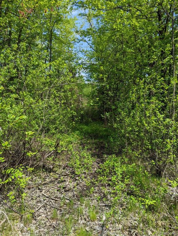 3800 South Towerline Road Bridgeport, MI 48722 - Photo 1 of 11 Gallery Image 1